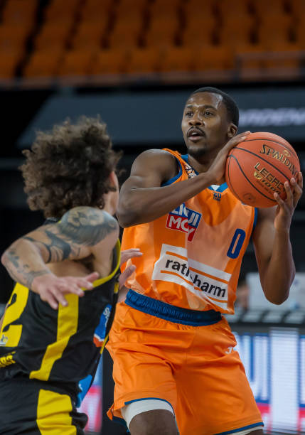 他们采用数 他们采用数